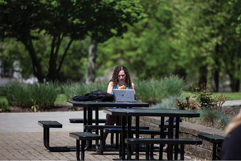 Studying in the courtyard